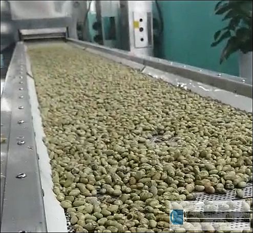 鄭州客戶來(lái)到許昌智工試機(jī)8米電磁流水線炒貨設(shè)備