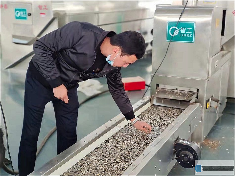 新疆塔城客戶來(lái)廠試機(jī)6米電磁流水線炒貨設(shè)備炒瓜子